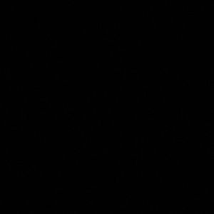 Meet your Posher, Gary